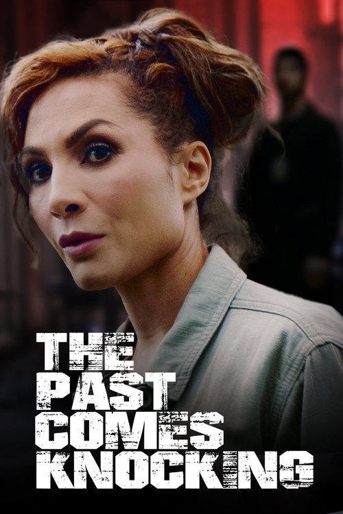 Movie poster for The Past Comes Knocking (2024)