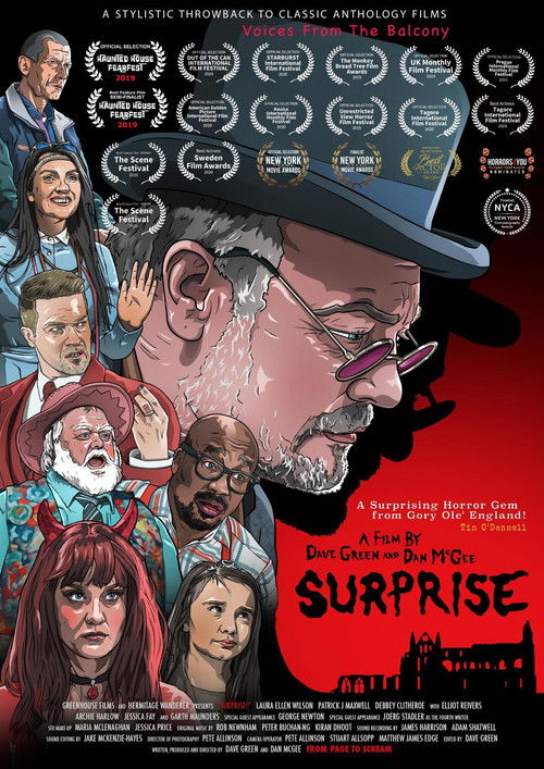 Movie poster for Surprise (2018)