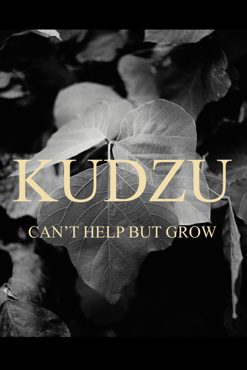 Movie poster for Kudzu Can't Help But Grow