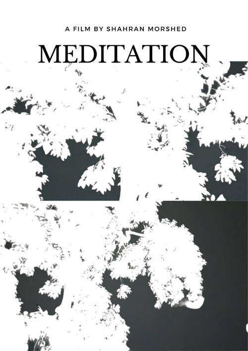 Movie poster for Meditation