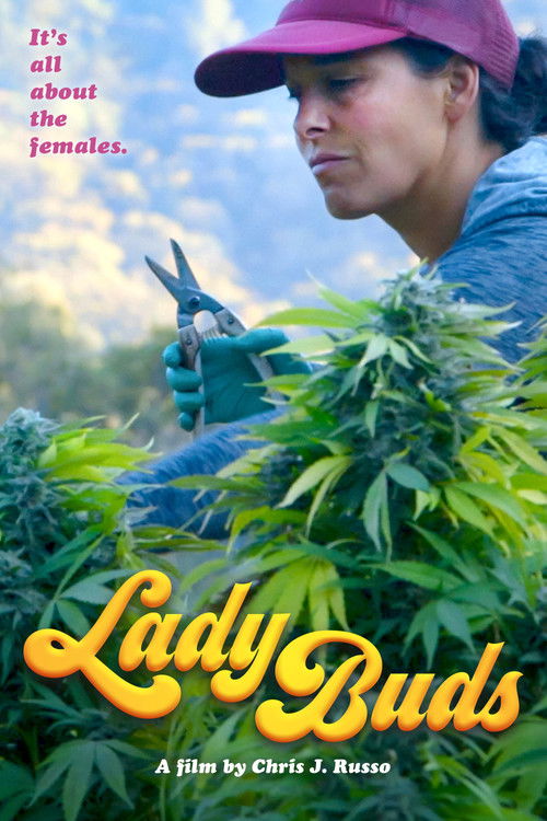 Movie poster for Lady Buds (2021)
