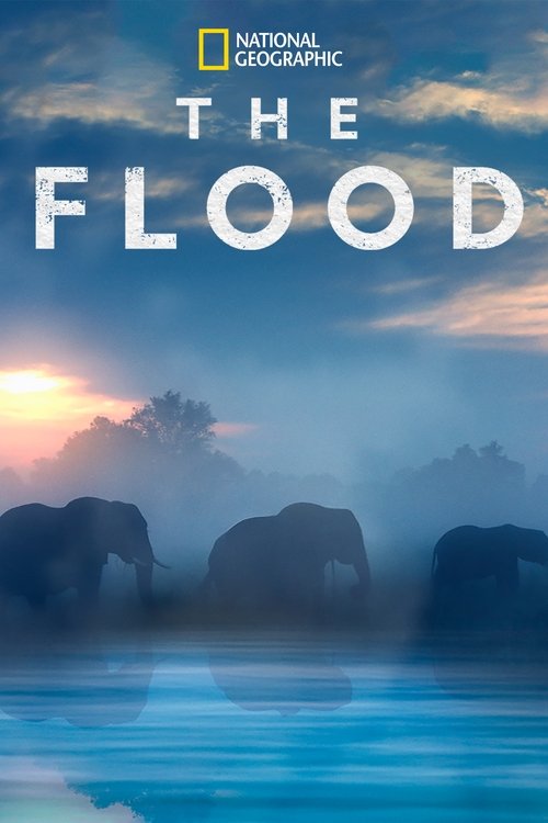 Movie poster for The Flood (2018)