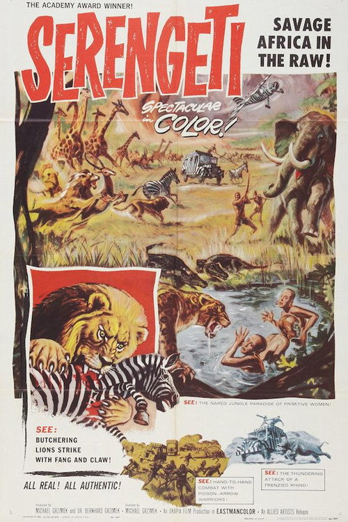 Movie poster for Serengeti Shall Not Die (1959)