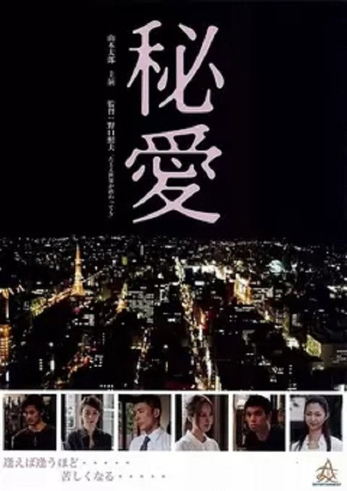 Movie poster for Secret Love (2013)
