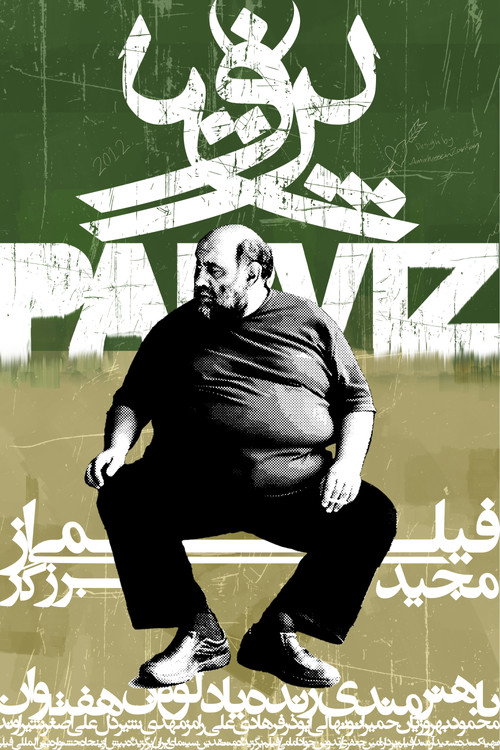 Movie poster for Parviz (2012)