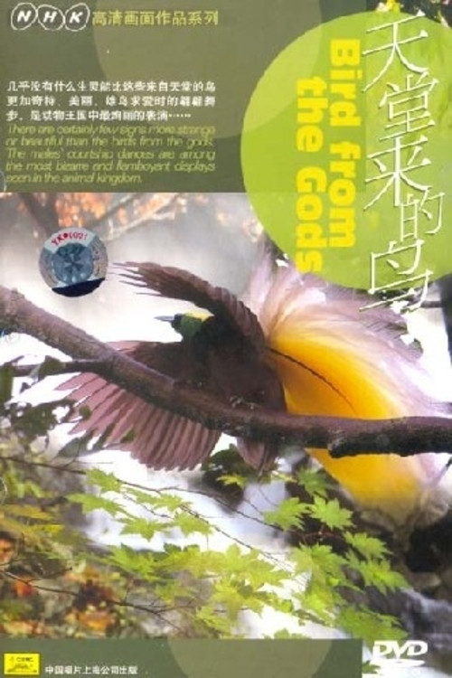 Movie poster for Birds from the Gods (2004)