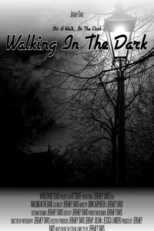 Movie poster for Walking In The Dark (2006)