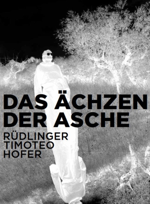 Movie poster for Das Ächzen der Asche (2018)