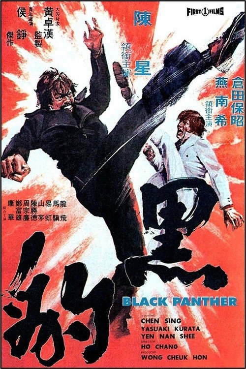 Movie poster for Black Panther (1973)
