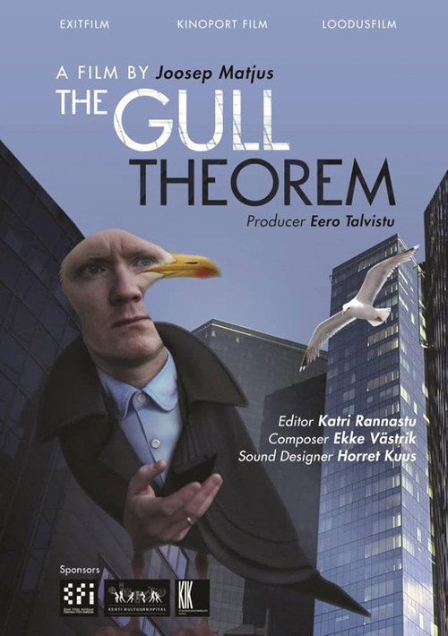 Movie poster for The Gull Theorem (2014)