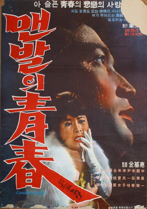 Movie poster for The Barefooted Young (1964)