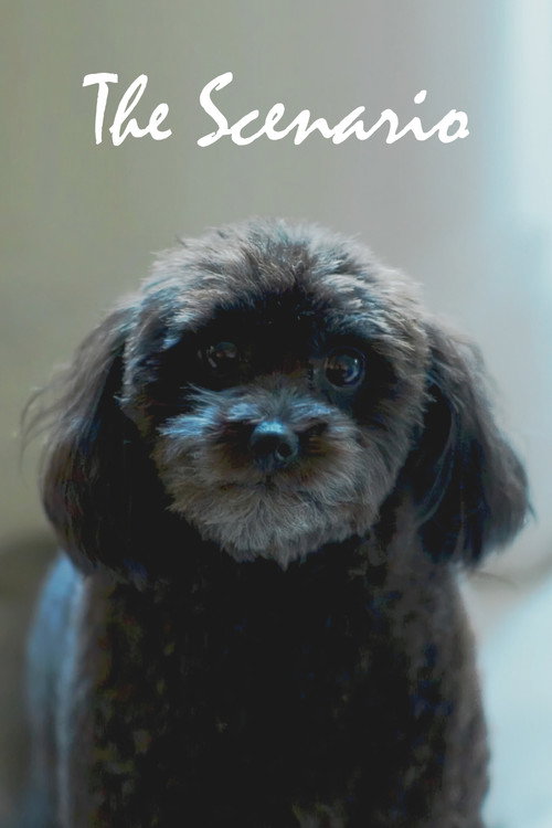 Movie poster for The Scenario (2024)