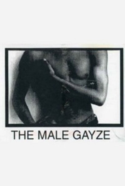 Movie poster for The Male GaYze (1990)