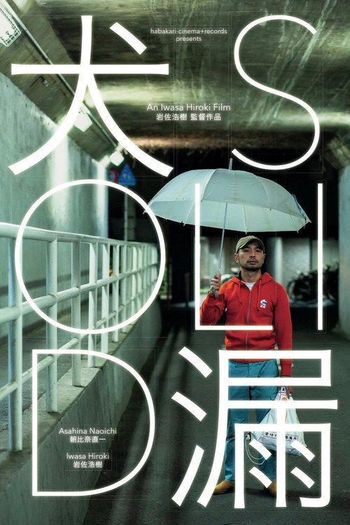 Movie poster for Solid (2021)