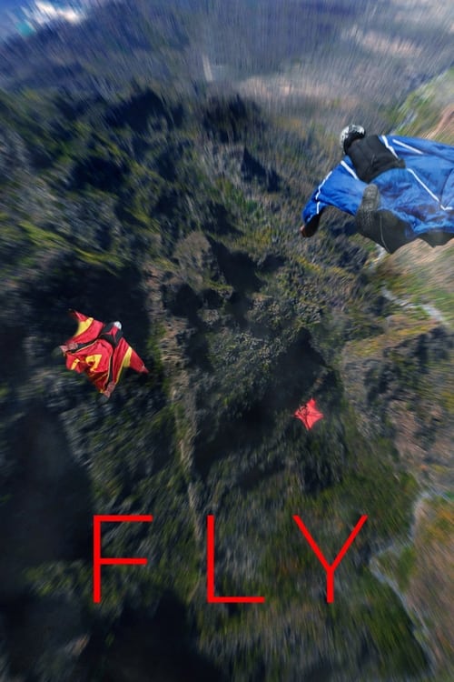 Movie poster for Fly (2024)