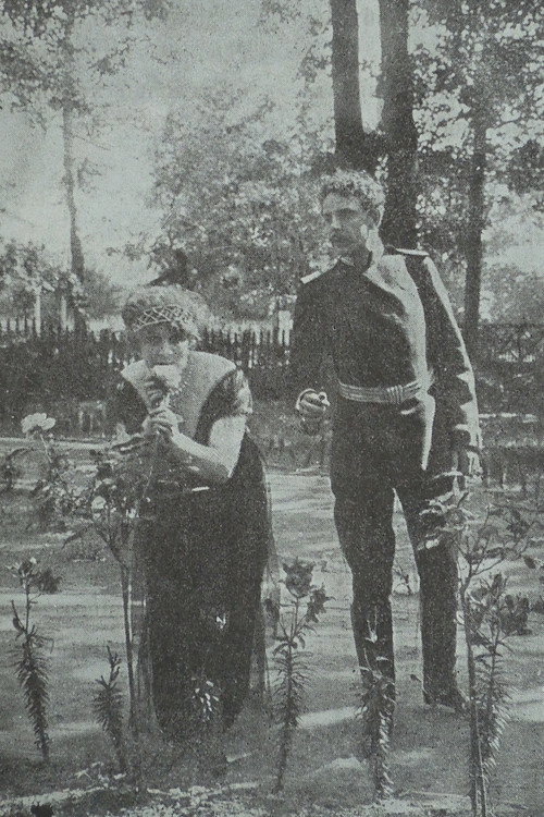 Movie poster for In The Nets of German Espionage (1915)