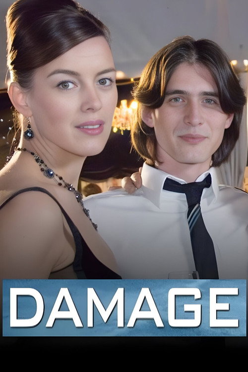 Movie poster for Damage (2007)