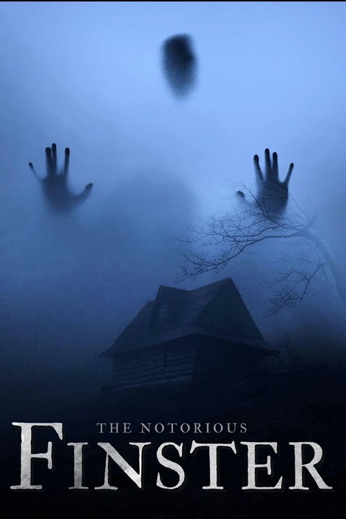 Movie poster for The Notorious Finster (2024)