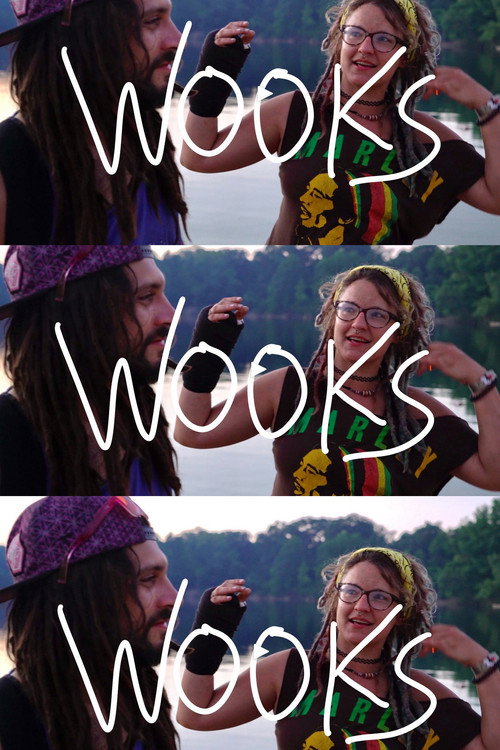 Movie poster for Wooks (2022)
