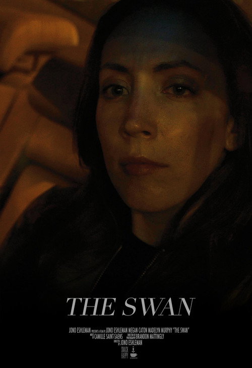 Movie poster for The Swan (2018)