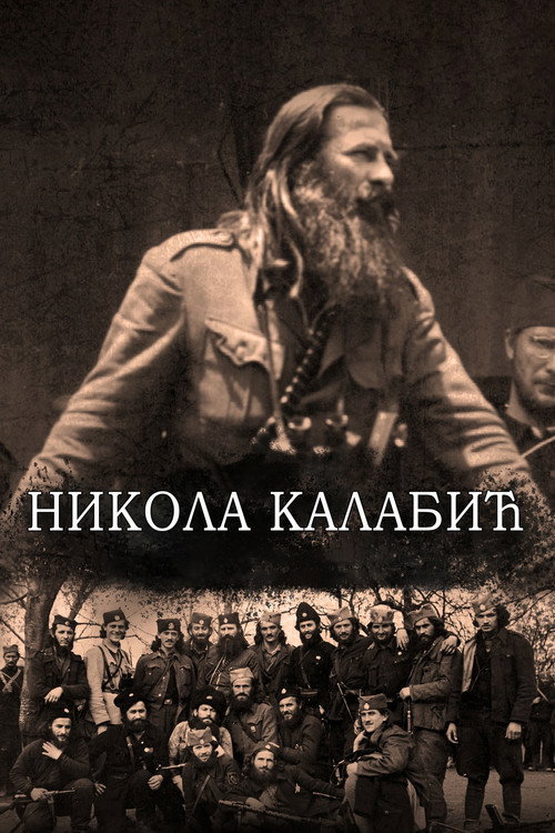 Movie poster for Nikola Kalabić (2020)