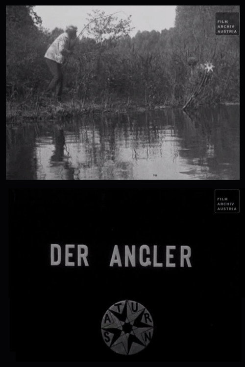 Movie poster for The Angler (1907)