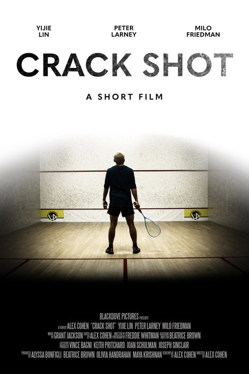 Movie poster for Crack Shot (2023)