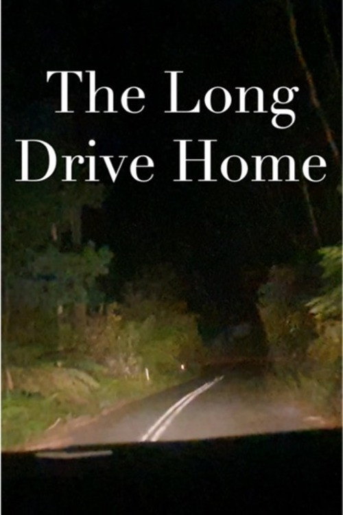 Movie poster for The Long Drive Home (2024)