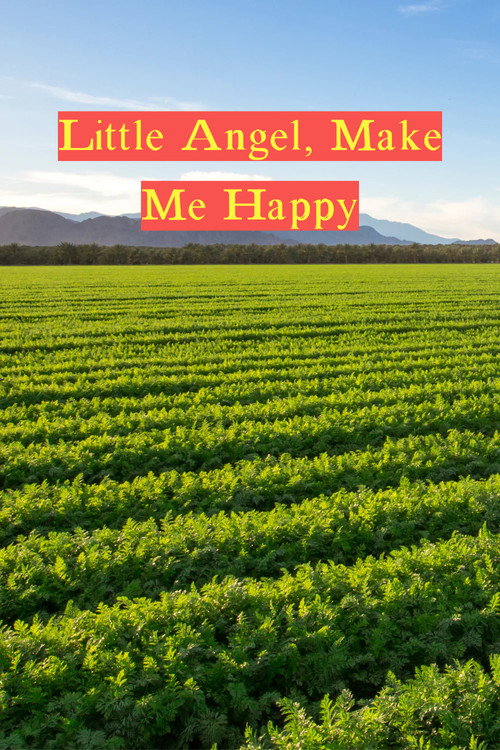 Movie poster for Little Angel, Make Me Happy (1993)