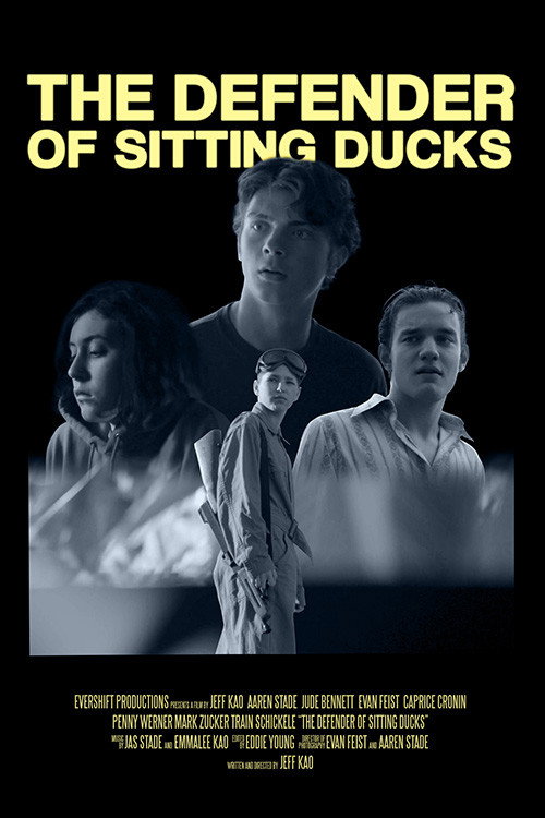 Movie poster for The Defender of Sitting Ducks