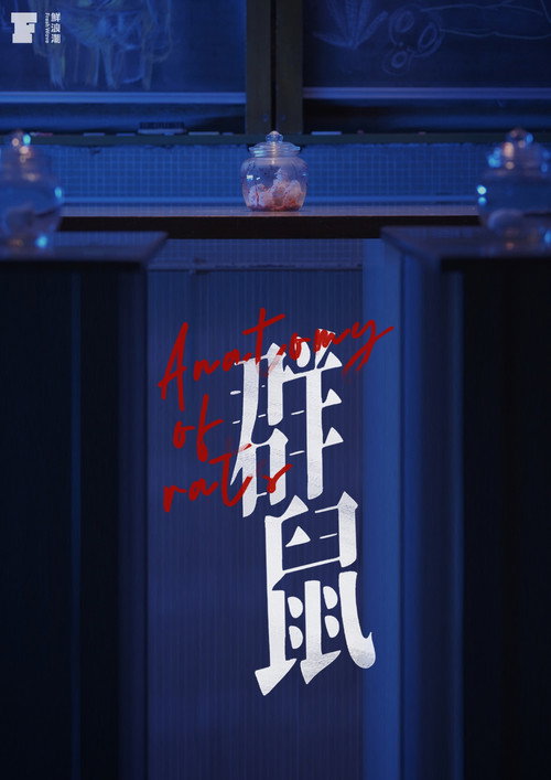 Movie poster for Anatomy of Rats (2022)