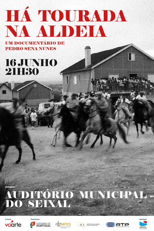 Movie poster for Há Tourada na Aldeia (2010)