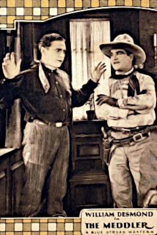 Movie poster for The Meddler (1925)