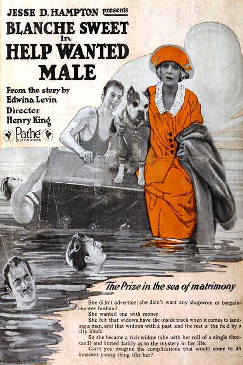 Movie poster for Help Wanted - Male (1920)