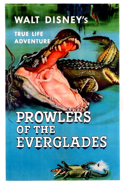 Movie poster for Prowlers of the Everglades (1953)