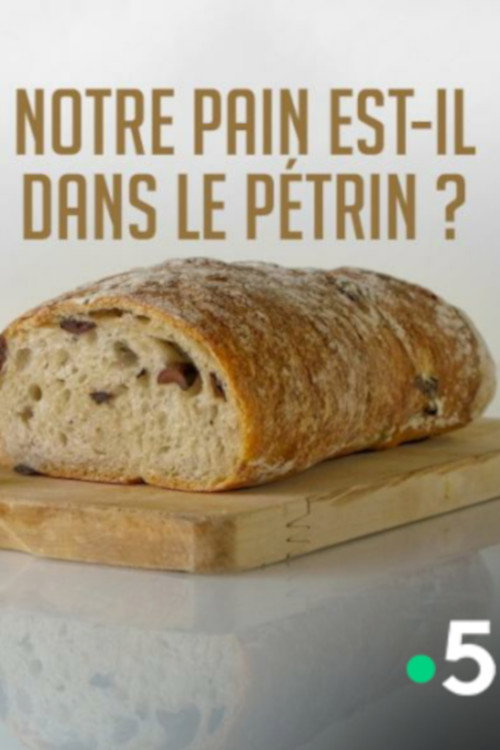 Movie poster for Notre pain est-il dans le pétrin ? (2017)