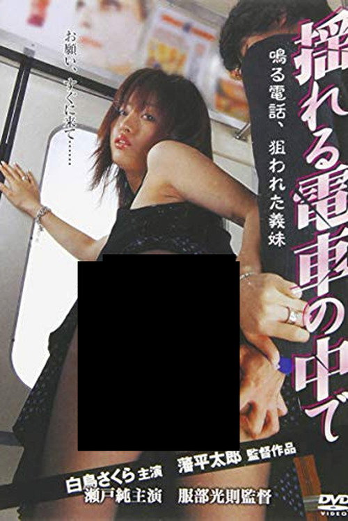 Movie poster for Ringing phone on a swaying train: My step-sister is targeted (2005)