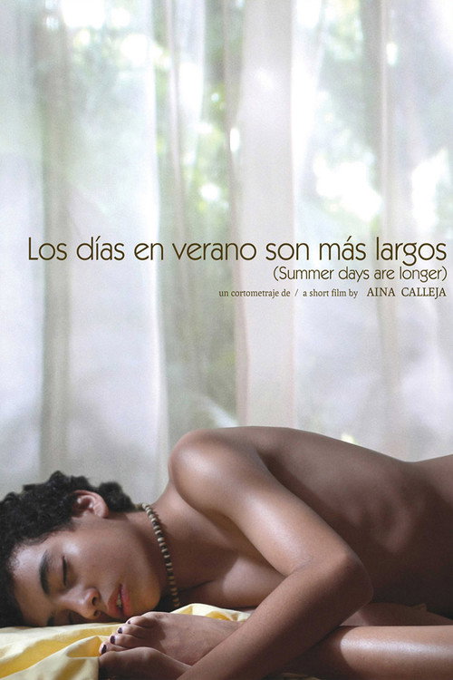 Movie poster for Los días en verano son más largos (2010)