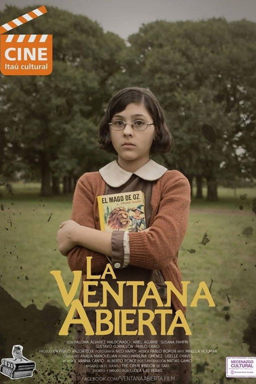 Movie poster for The Open Window (2014)