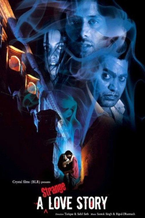 Movie poster for A Strange Love Story (2011)