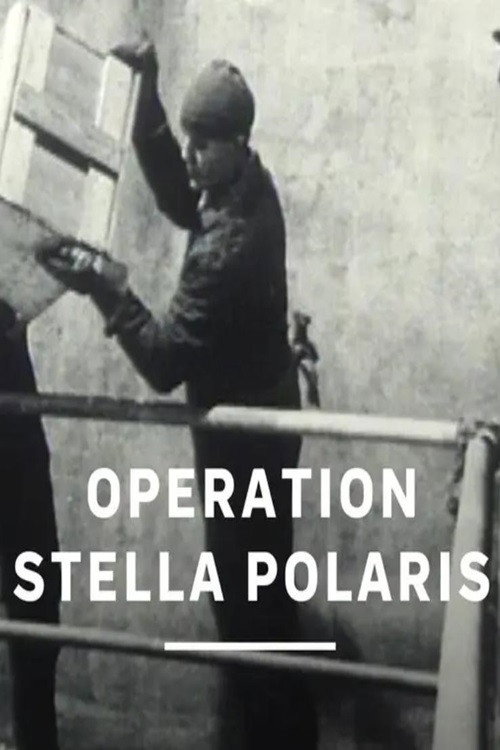 Movie poster for Operation Stella Polaris (1995)