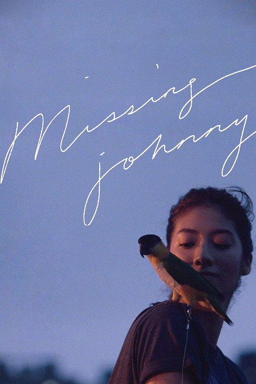 Movie poster for Missing Johnny (2017)