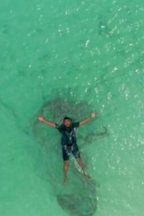 Just Beneath The Surface poster