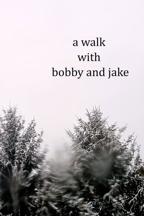 Movie poster for a walk with bobby and jake (2022)