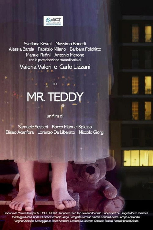 Movie poster for Mr. Teddy (2012)