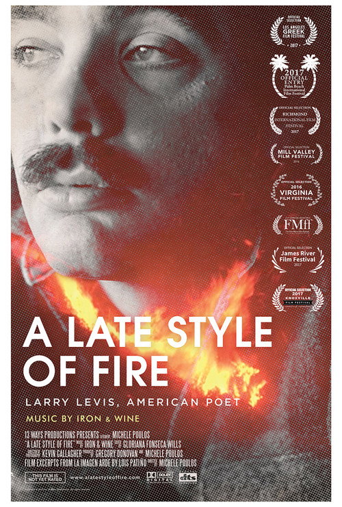 Movie poster for A Late Style of Fire (2016)