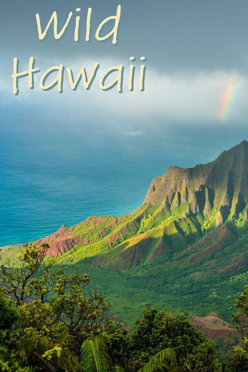 Movie poster for Wild Hawaii (2012)