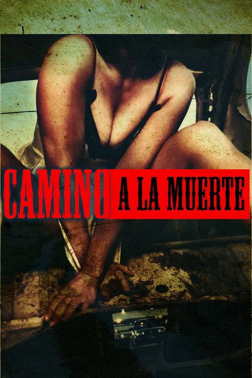 Movie poster for Camino a la Muerte (2003)
