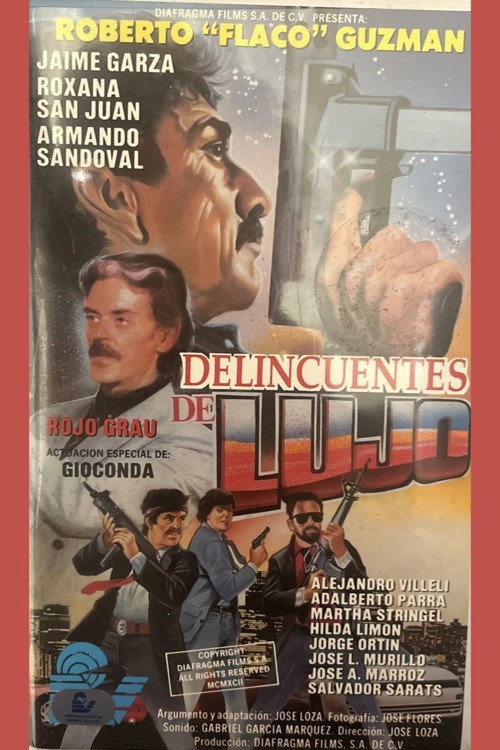 Movie poster for Delincuentes de lujo (1992)