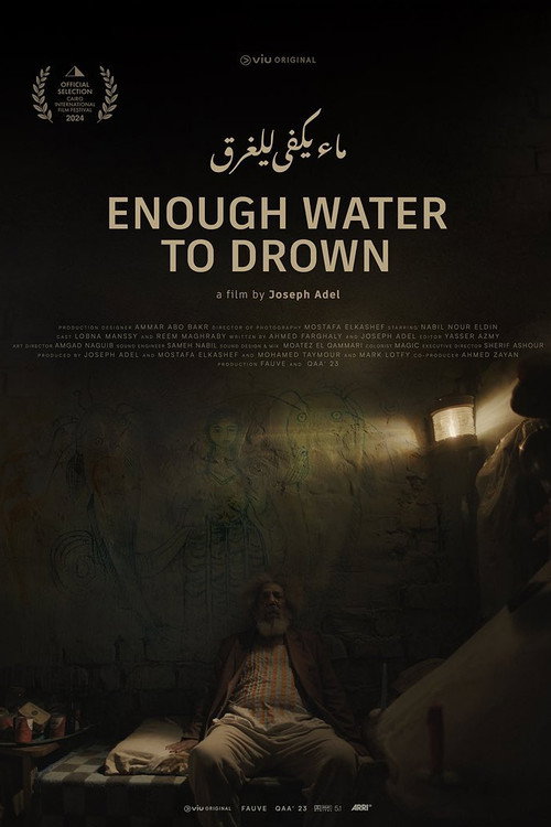 Movie poster for Enough Water to Drown (2024)